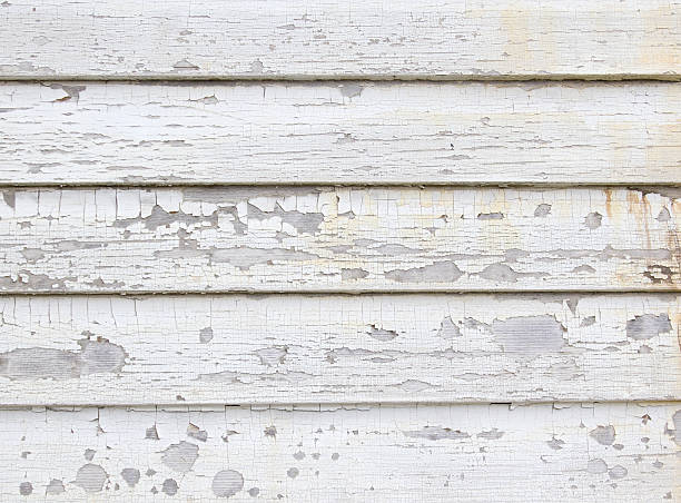 Best Historical Building Siding Restoration  in Lincoln, NE